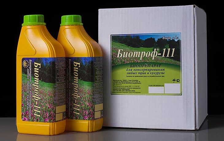 Биотроф-111, консервант — фотография