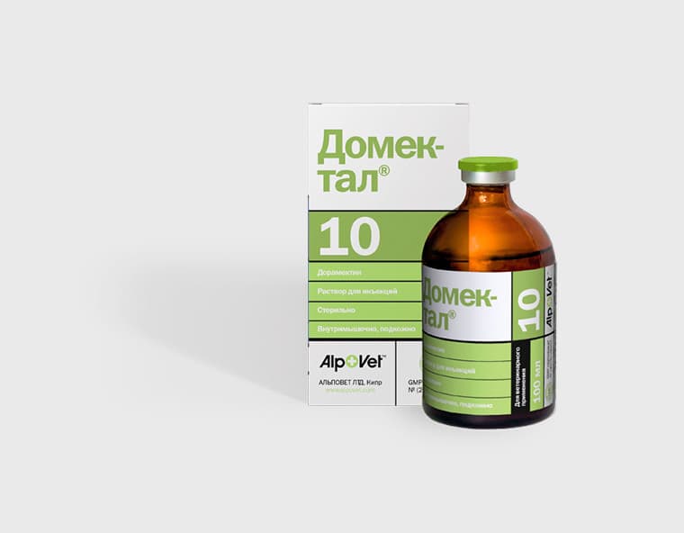 Домектал® 10 — фотография