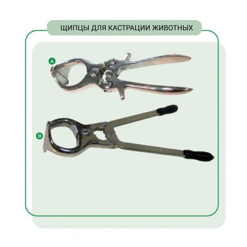 Щипцы для кастрации животных Бурдицо для КРС и овец, Genia® — фотография