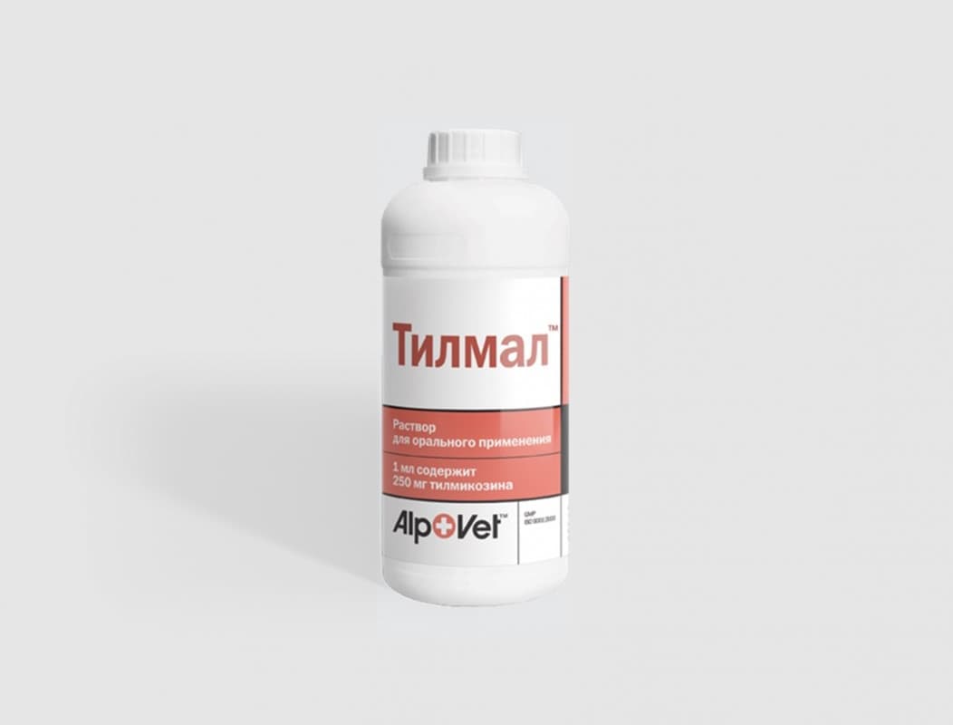 Тилмал® 250 — фотография