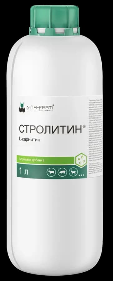 Стролитин, 1 л (под заказ) — фотография