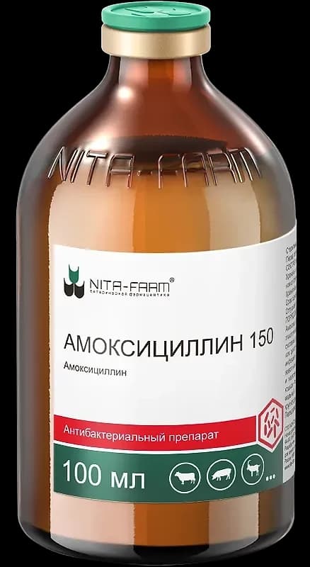 Амоксициллин 150, 100 мл — фотография
