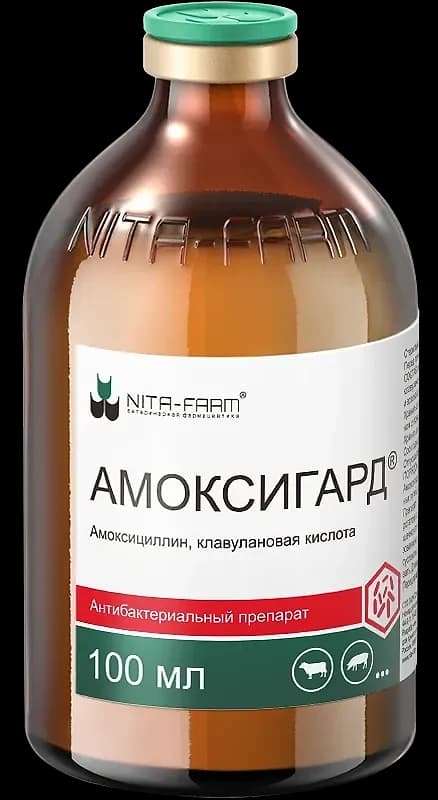 Амоксигард, 100 мл — фотография