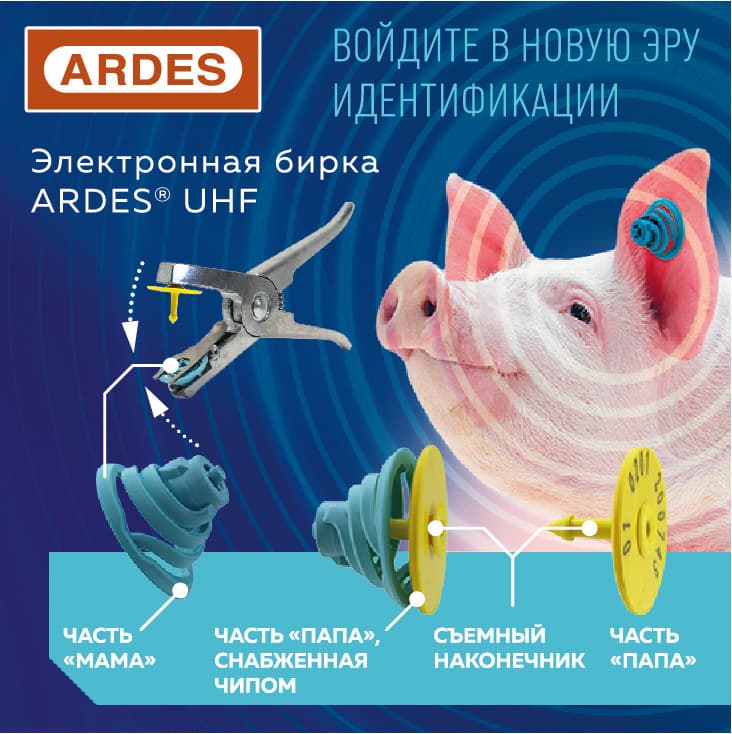 Бирка электронная ARDES UHF — фотография